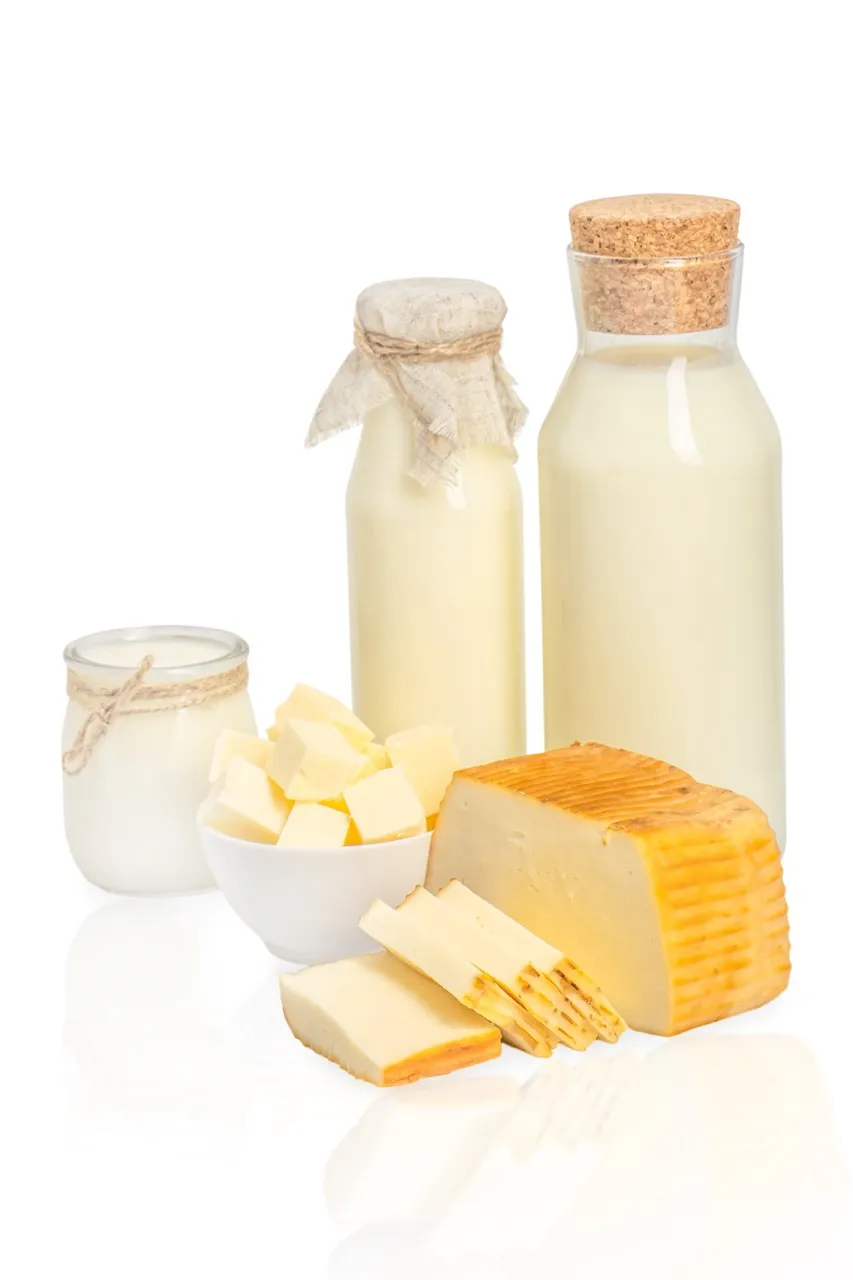 Dairy delights milk butter and cheese still lif 2026 03 17 17 47 27 utc groot