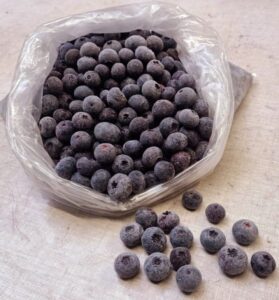 Blauwe bes bevroren