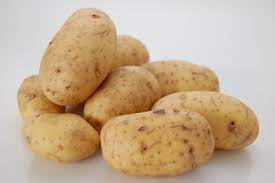 Frieslander