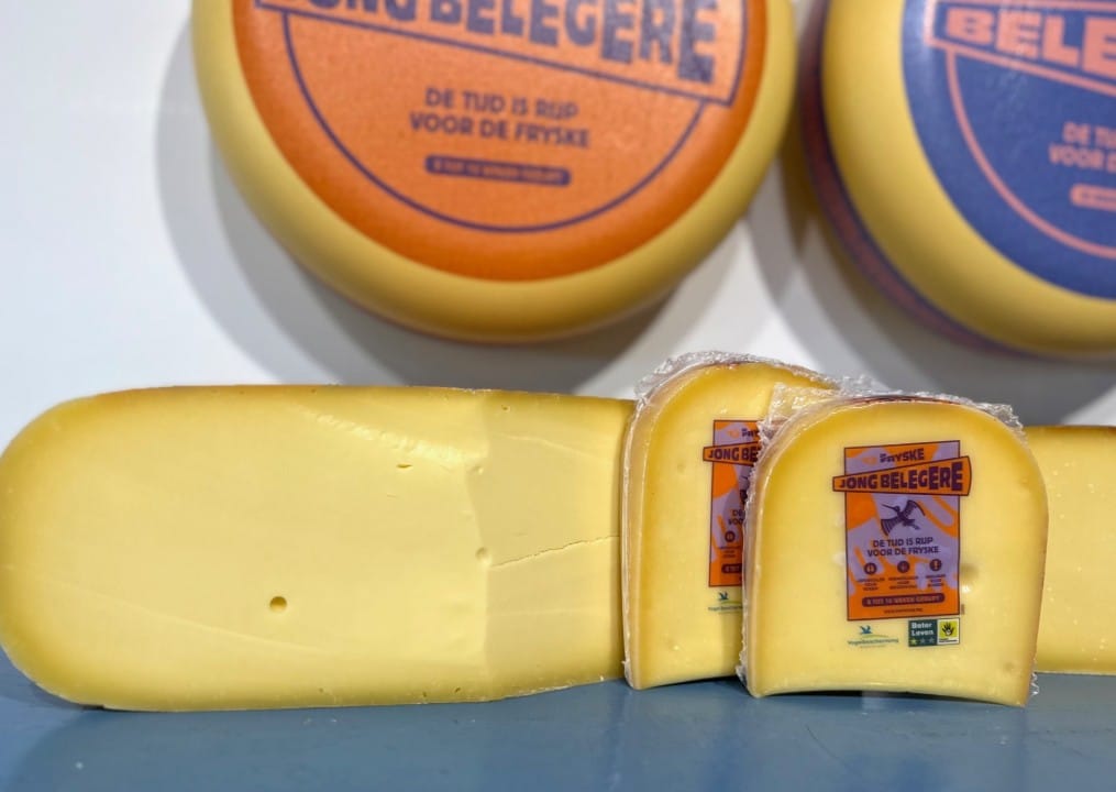 Fryske belegere jong
