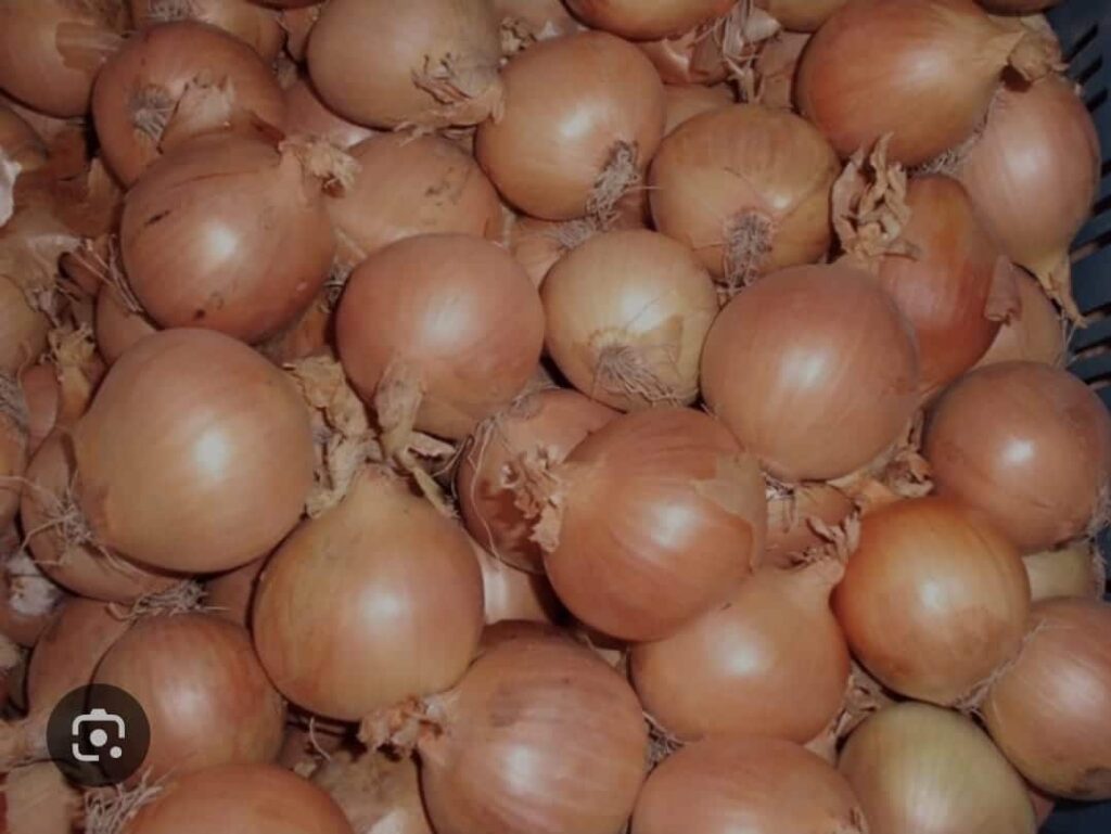 Uien